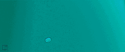 Glass Breaking Gun Firing Illustration GIF