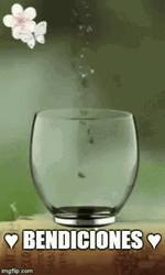 Glass Filled Up Bendiciones Sticker GIF