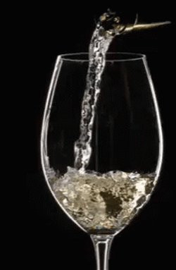 Glass Of Sparkling Delight Prosecco GIF
