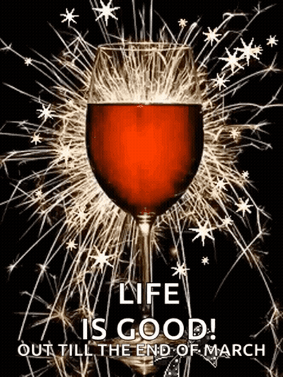 Glass Of Wine Surrounded By Sparklers Says Life Is Good GIF