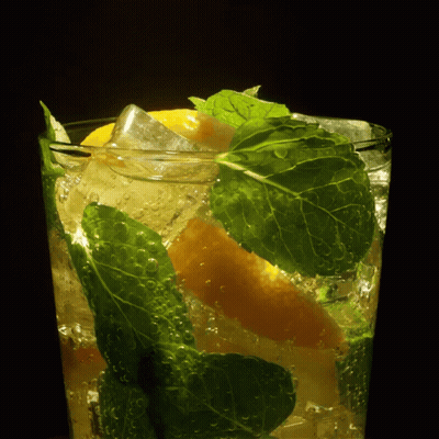 Glass With Ice Lemon And Mint GIF