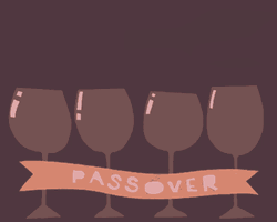 Glasses For Passover Toast