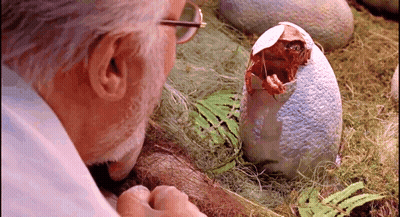 Glasses Man Watching Baby Dinosaur Hatch GIF