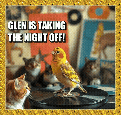 Glen Taking Night Off With Bird On Record GIF
