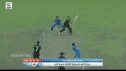 Glenn Maxwell Catches Dead Ball  GIF
