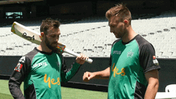 Glenn Maxwell Fist Bump GIF