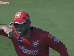 Glenn Maxwell Jumping Celebration GIF