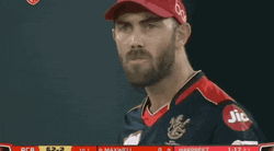 Glenn Maxwell Looks Up GIF