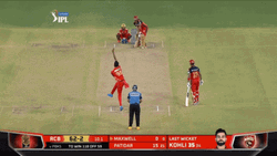 Glenn Maxwell Misses The Ball GIF