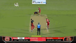Glenn Maxwell's Team Scores Homerun GIF