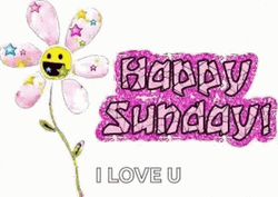 Glimmering Animated Flower Happy Sunday Love GIF