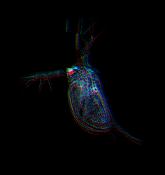 Glitching Real Life Plankton GIF