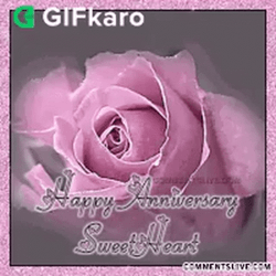 Glitter Happy Anniversary Pink Rose Sweetheart GIF