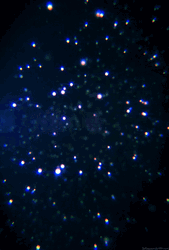 Glitter Sparkle Colorful GIF