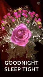 Glittering Pink Rose And Buds Good Night GIF