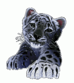 Glittery Baby Jaguars GIF