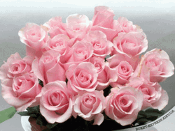 Glittery Pink Flores Bouquet GIF