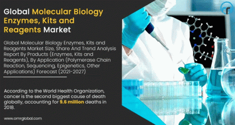 Global Molecular Biology Enzymes GIF