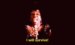 Gloria Gaynor Singer I Will Survive GIF