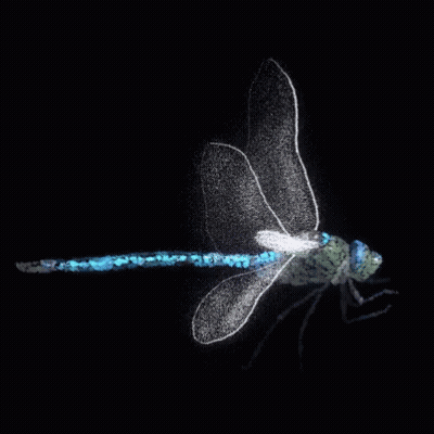 Glowing Dragonfly With Long Tail GIF