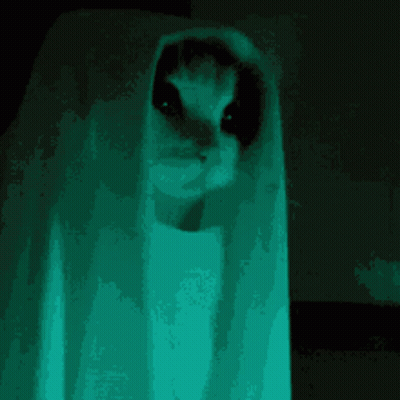 Glowing Eyes Ghost White Sheet GIF