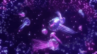 Glowing Jellyfish Swimming In Dark Water GIF