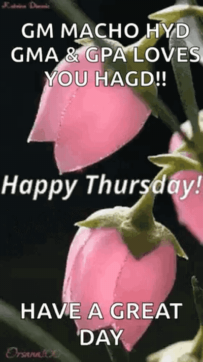 GM Macho Hyd Gma & Gpa Love You Hagd Have A Great Day GIF