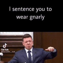 Gnarly I Sentence You GIF