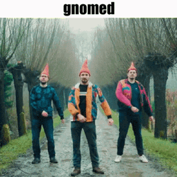 Gnome Band Wenceslas Official Video GIF