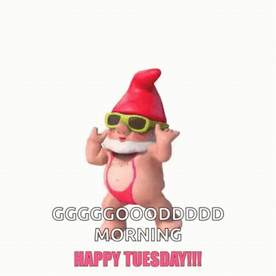 Gnome In Sunglasses And Pink Bikini Dancing Saying Good Morning Happy Tuesday GIF