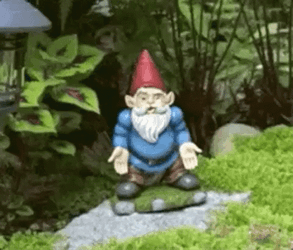 Gnome Norm The Lawn Figure Seriously GIF
