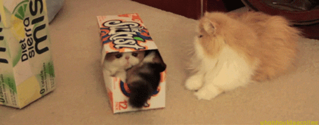 Go Away From Me Leave GIF