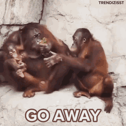 Go Away Jealous GIF