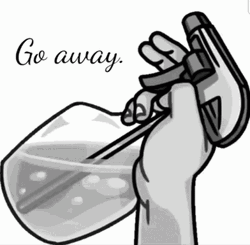 Go Away Spray Bottle GIF