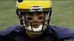 Go Blue GIF