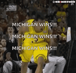 Go Blue GIF