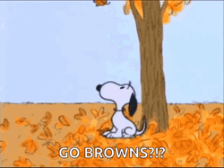 Go Browns Snoopy Blows Falling Leaves GIF