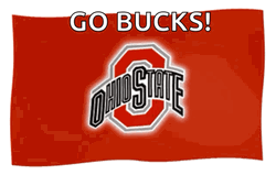 Go Bucks Ohio State GIF