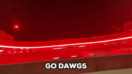 Go Dawgs Building Decorated With Red Lights GIF