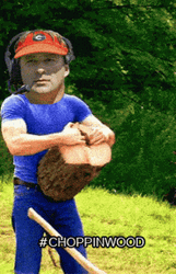 Go Dawgs Chopping Wood GIF