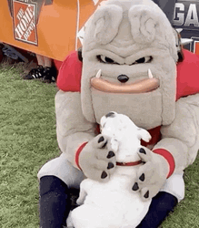 Go Dawgs Cute Mascot And Bulldog GIF