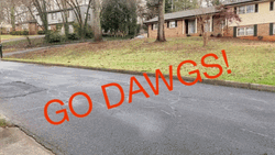 Go Dawgs Flag In A Scooter GIF