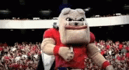 Go Dawgs Mascot GIF