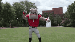 Go Dawgs Mascot Cheering GIF