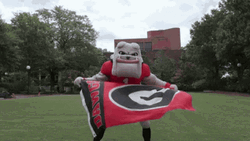 Go Dawgs Mascot With Flag GIF