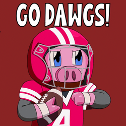Go Dawgs Pig Wearing Football Uniform GIF