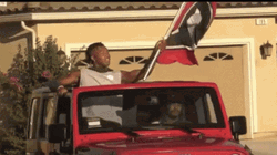 Go Dawgs Waving Flag In A Car GIF