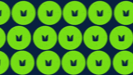 Go For Gold Seattle Seahawks  GIF