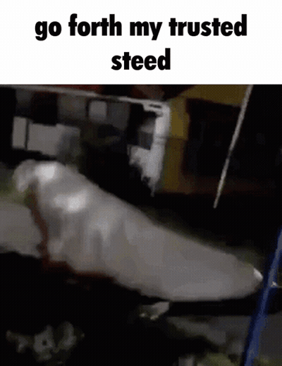 Go Forth My Trusted Steed Meme GIF