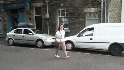 Go-Forth Pest Control Van Driving On Highway GIF